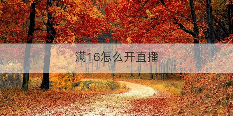 满16怎么开直播
