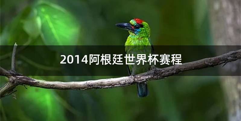 2014阿根廷世界杯赛程