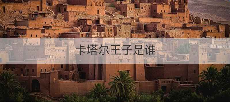 卡塔尔王子是谁