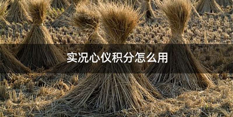 实况心仪积分怎么用