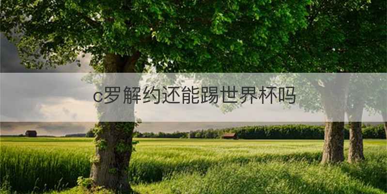 c罗解约还能踢世界杯吗