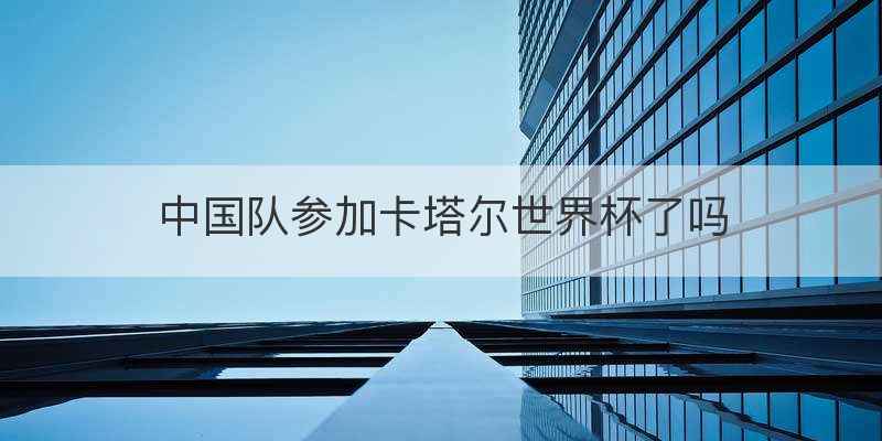 中国队参加卡塔尔世界杯了吗
