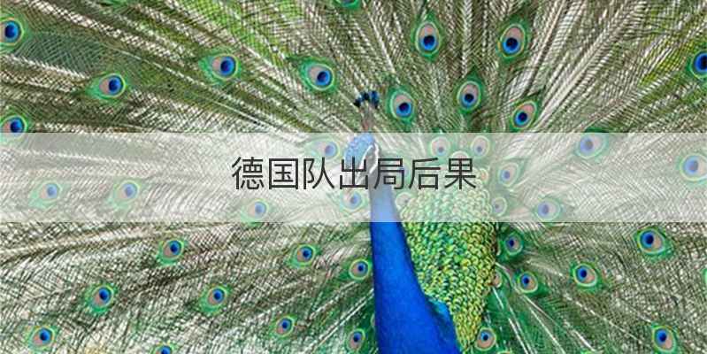德国队出局后果