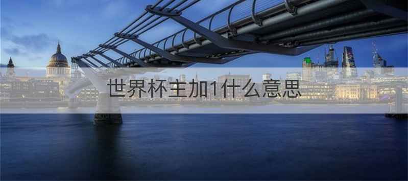 世界杯主加1什么意思