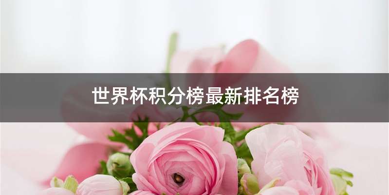 世界杯积分榜最新排名榜