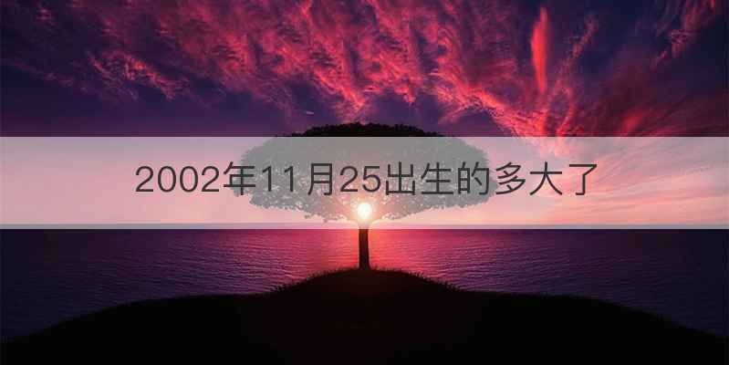 2002年11月25出生的多大了