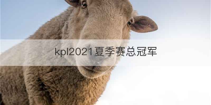 kpl2021夏季赛总冠军