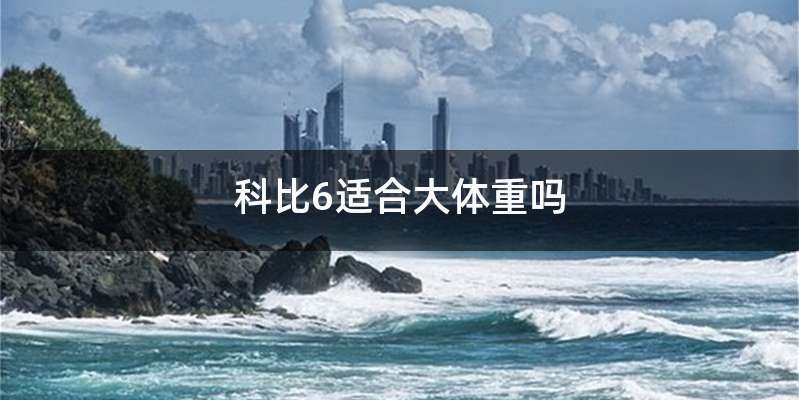 科比6适合大体重吗
