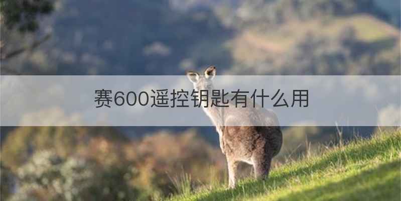赛600遥控钥匙有什么用