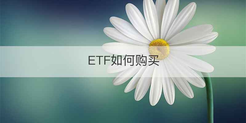 ETF如何购买