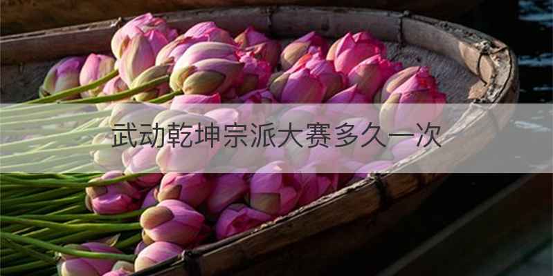 武动乾坤宗派大赛多久一次