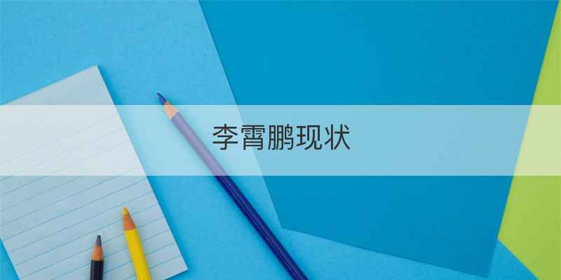 李霄鹏现状