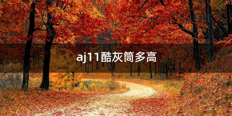 aj11酷灰筒多高