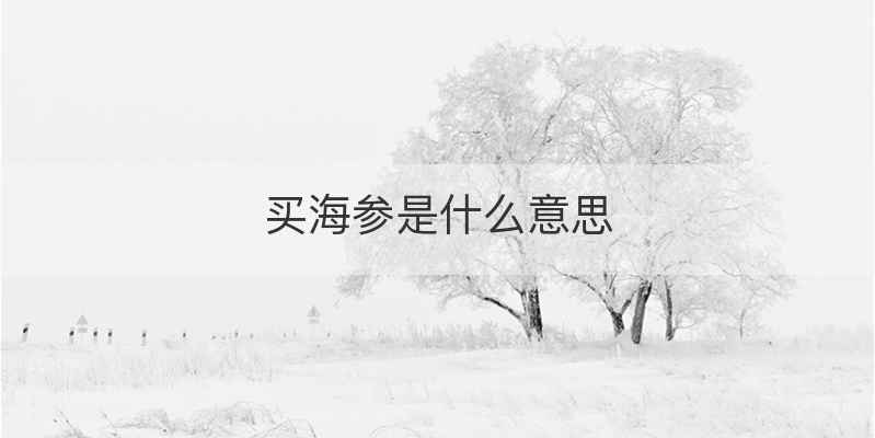 买海参是什么意思