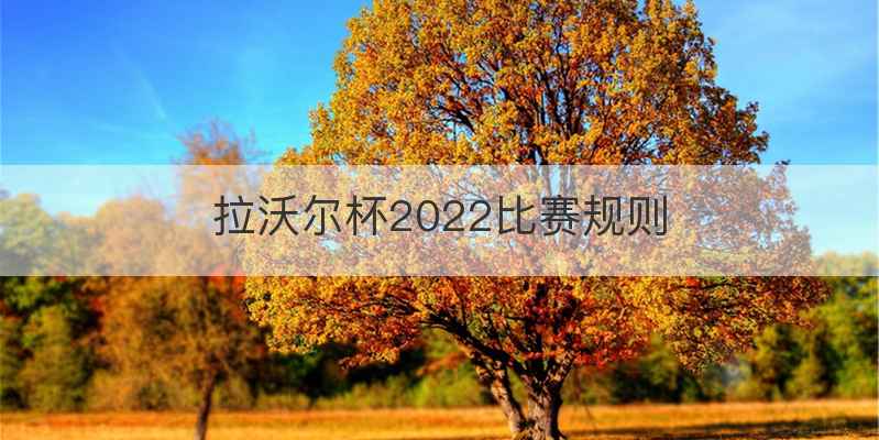 拉沃尔杯2022比赛规则