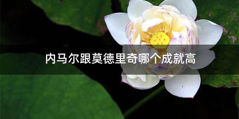 内马尔跟莫德里奇哪个成就高