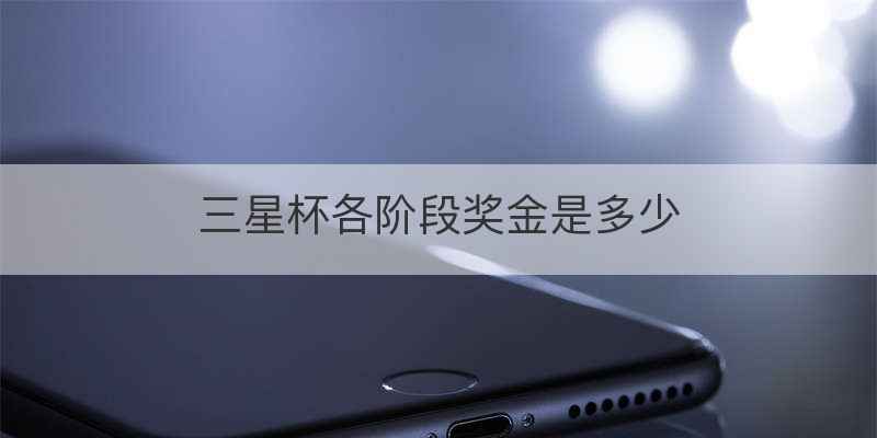 三星杯各阶段奖金是多少