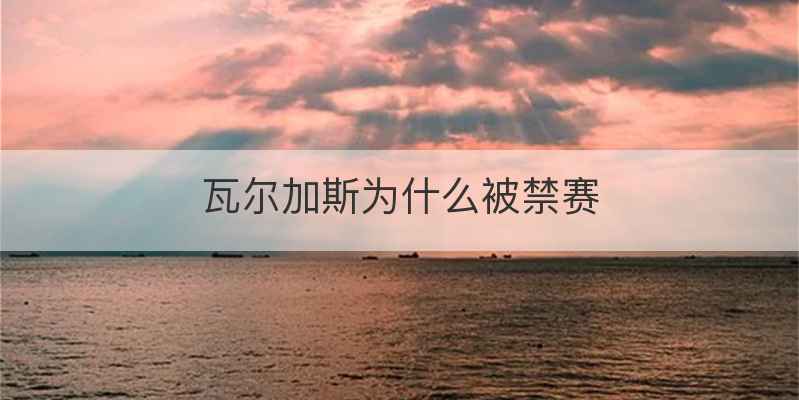 瓦尔加斯为什么被禁赛