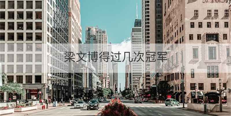 梁文博得过几次冠军