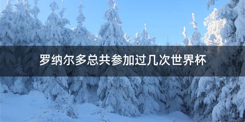 罗纳尔多总共参加过几次世界杯
