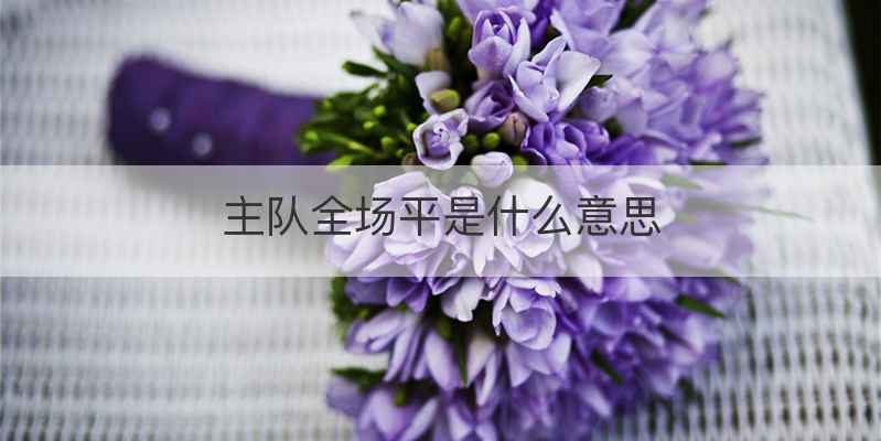 主队全场平是什么意思