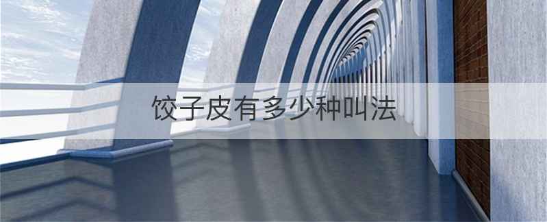 饺子皮有多少种叫法