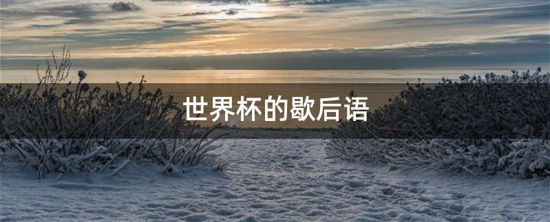 世界杯的歇后语