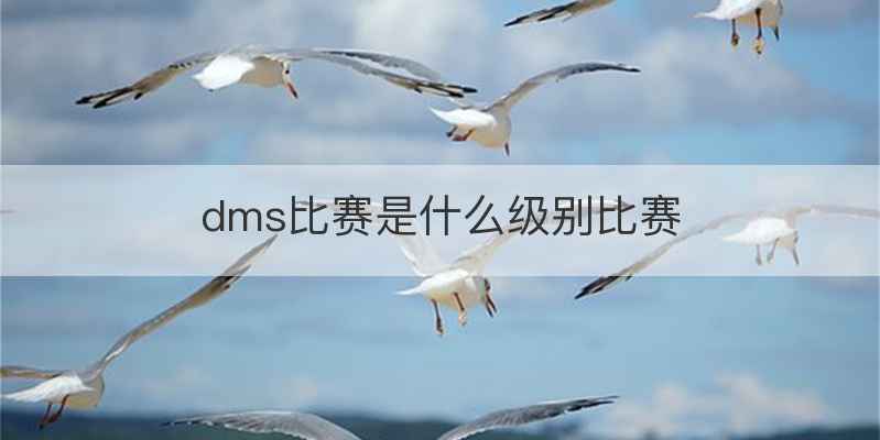 dms比赛是什么级别比赛