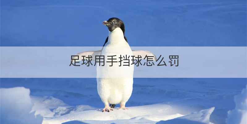 足球用手挡球怎么罚