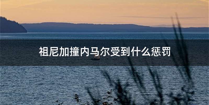 祖尼加撞内马尔受到什么惩罚