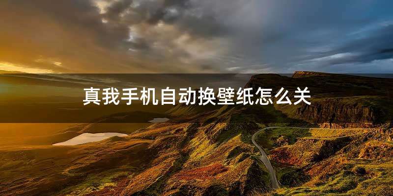 真我手机自动换壁纸怎么关