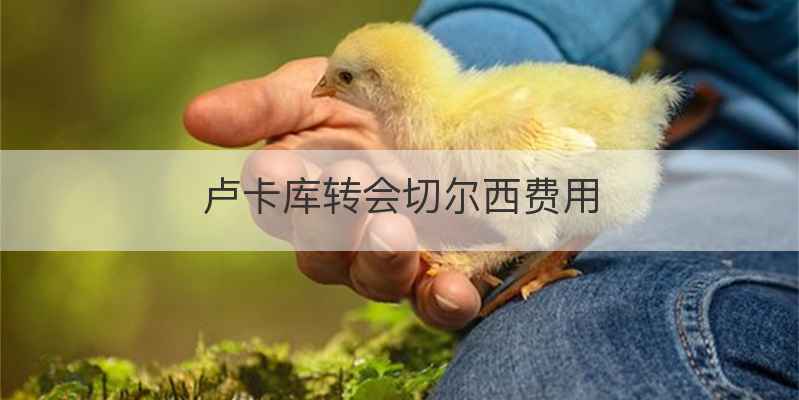 卢卡库转会切尔西费用