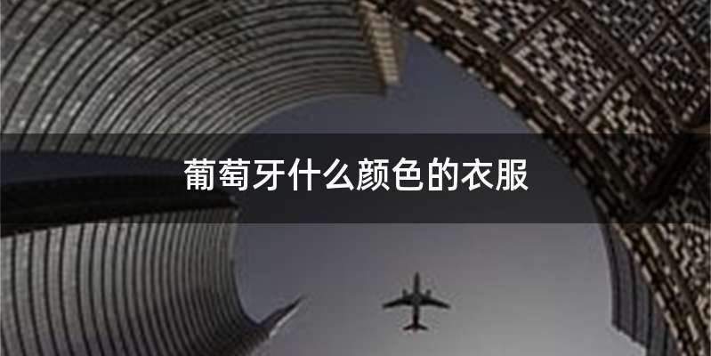 葡萄牙什么颜色的衣服