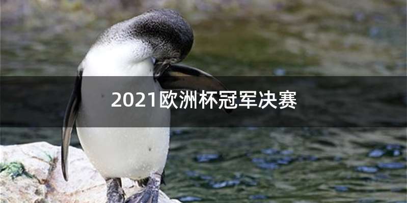 2021欧洲杯冠军决赛