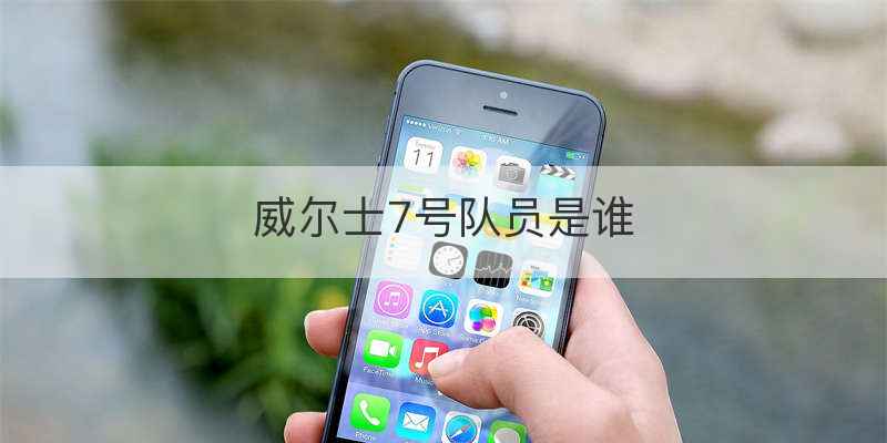 威尔士7号队员是谁