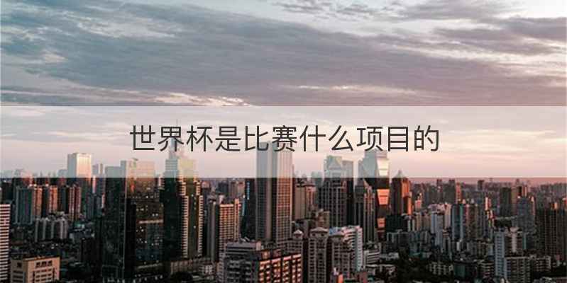 世界杯是比赛什么项目的
