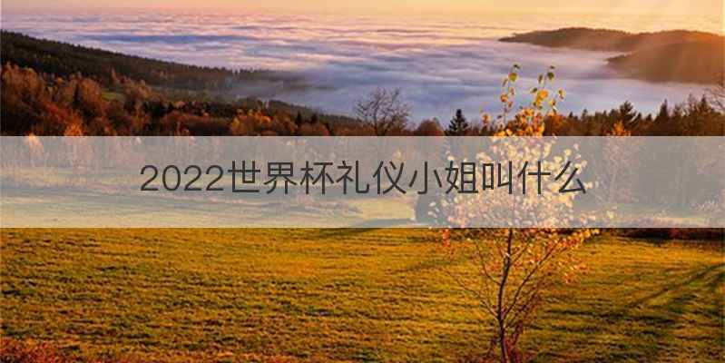 2022世界杯礼仪小姐叫什么