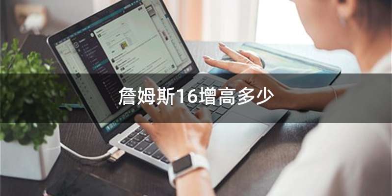 詹姆斯16增高多少