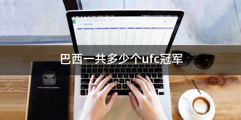 巴西一共多少个ufc冠军