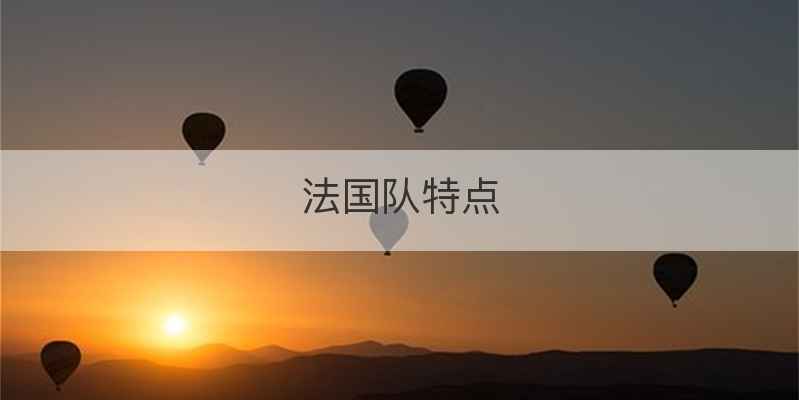 法国队特点