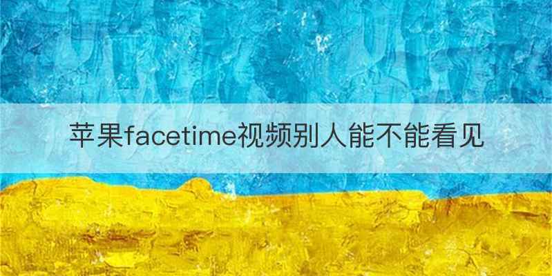 苹果facetime视频别人能不能看见