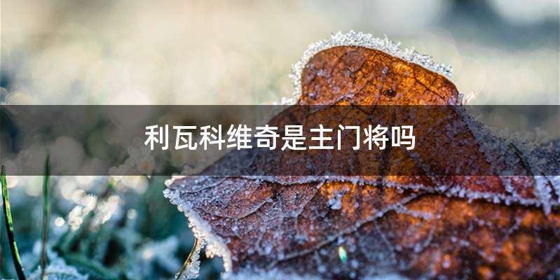 利瓦科维奇是主门将吗