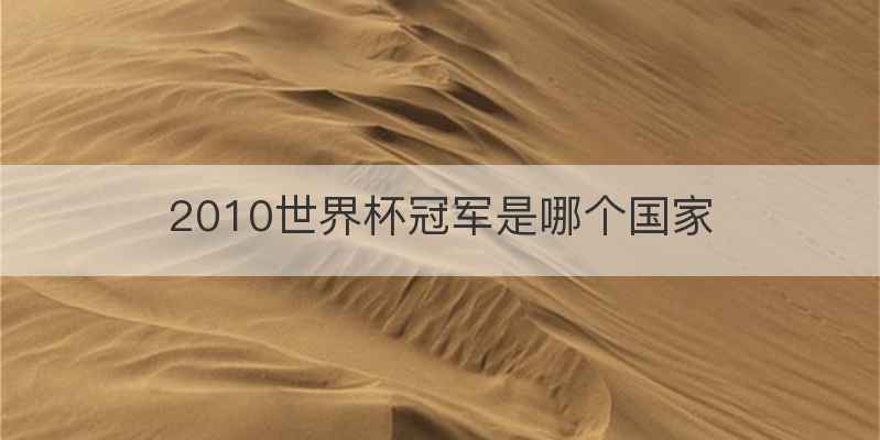 2010世界杯冠军是哪个国家
