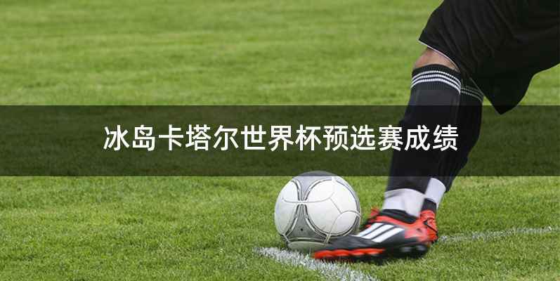 冰岛卡塔尔世界杯预选赛成绩