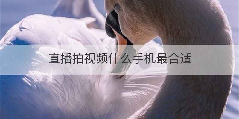 直播拍视频什么手机最合适