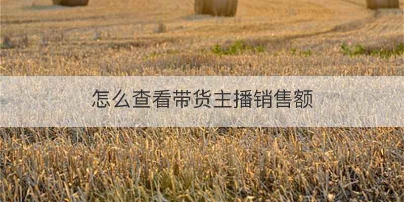 怎么查看带货主播销售额