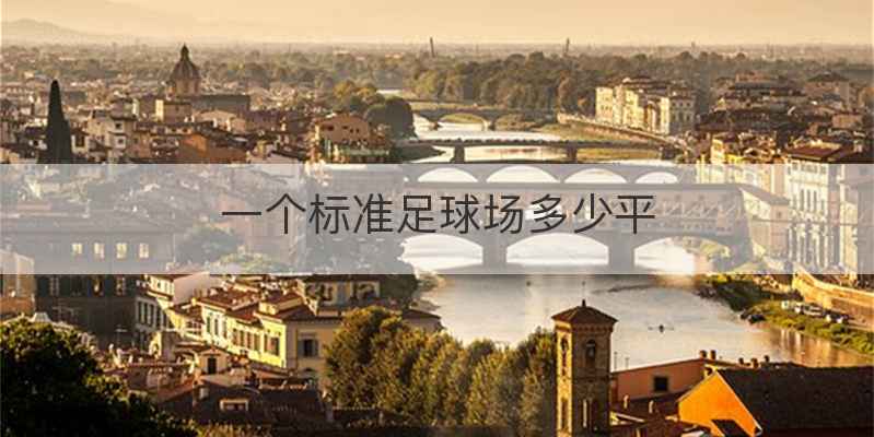 一个标准足球场多少平