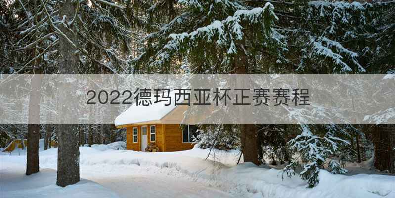 2022德玛西亚杯正赛赛程