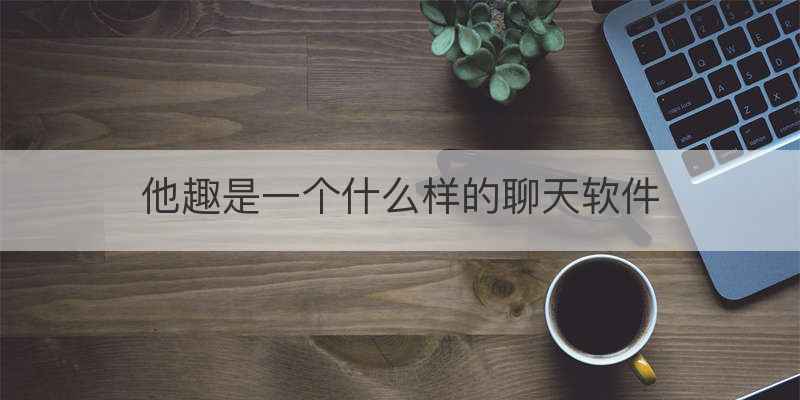 他趣是一个什么样的聊天软件