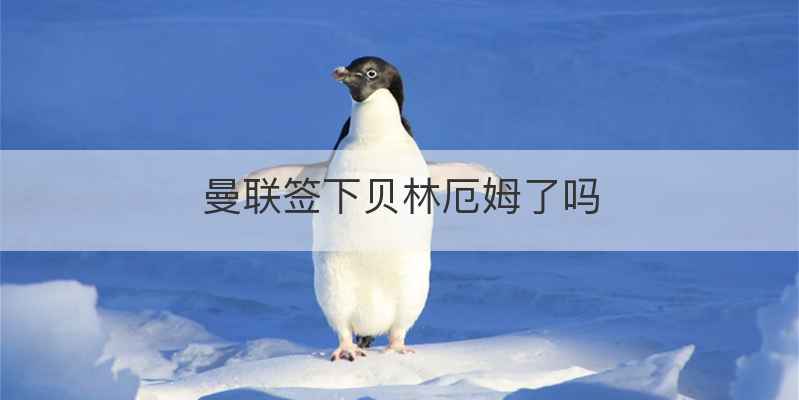 曼联签下贝林厄姆了吗